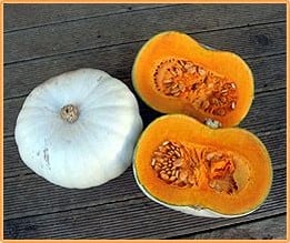 Monarche F1 grijze eetpompoen zaden