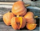 Amish Pie pompoen 250 zaden