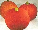 Red Eye pompoen 50 zaden  