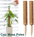 Mosstok Kokosstok planten totem 50 cm per stuk