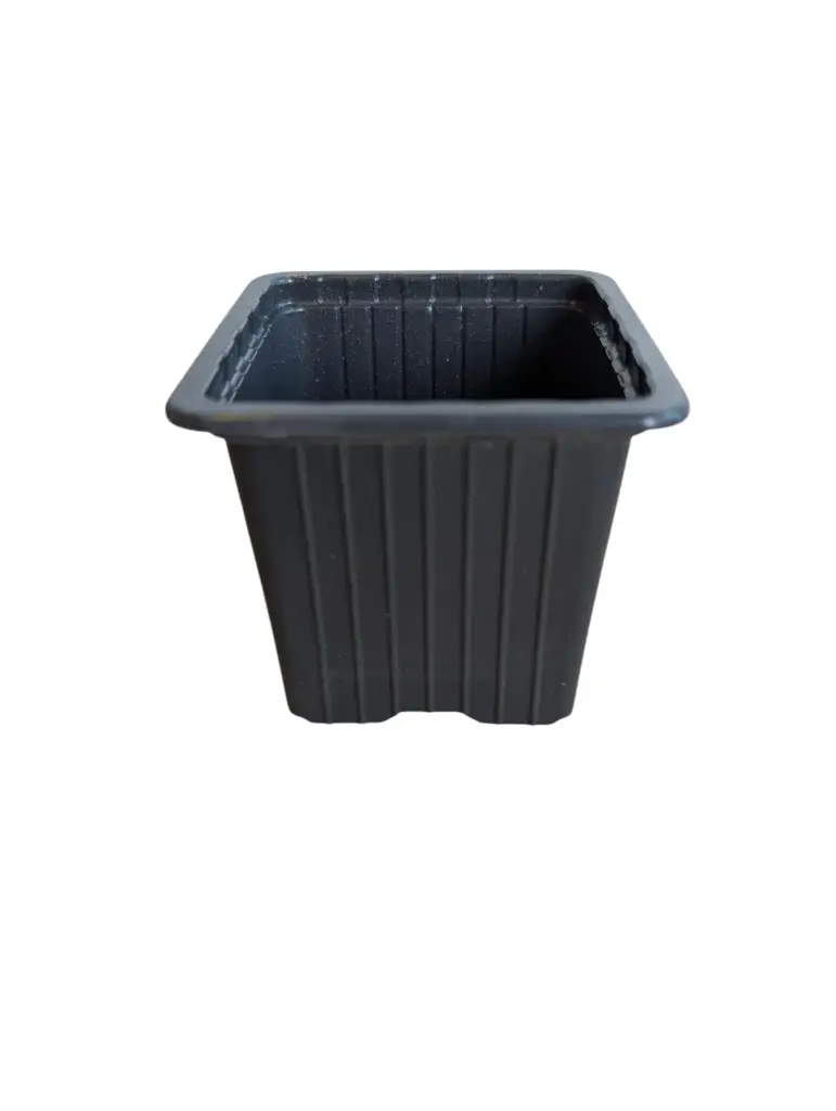 Kweekpotten Vierkant Zwart 9x9x10 cm pak ca. 25 stuks