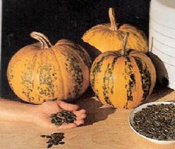 Kakai Oliepompoen 1000 zaden