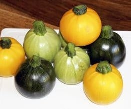 Ball F1 Rondini mixture kalebas basiseenheid