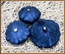 Scallopini F1 basiseenheid zaden