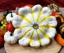 Fall Blossom F1 Witte Patisson met gele strepen pompoen kleinverpakking