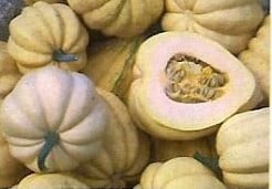 T Sanders Sweet Potato Pompoen 250 zaden