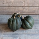 Porto Moschata pompoen zaden