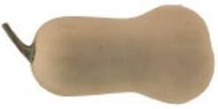 Butterbush F1 pompoen 250 zaden