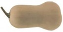 Butterbush F1 pompoen 1000 zaden