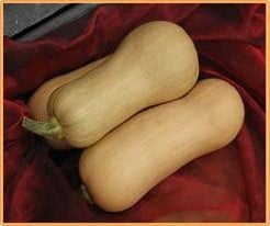 Butternut Hunter F1 flespompoen 50 zaden