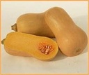 Butternut Victory F1 flespompoen basiseenheid