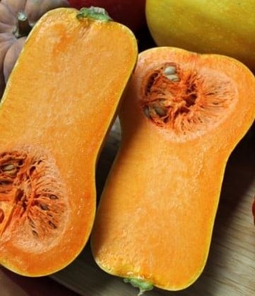 Butternut Helviz F1 Hoogproductive flespompoen kleinverpakking