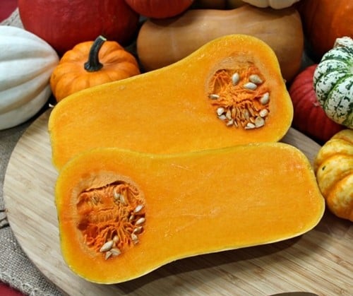 Butternut Emily F1 Vroege flespompoen 250 zaden