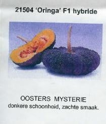 Oringo pompoen zaden