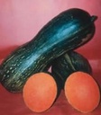 Bambina Gigante (reuzen muskaat) 