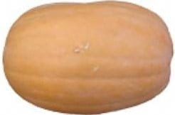 Vitamin Pumpkin zaden