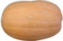 Vitamin Pumpkin zaden