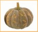 Crowning F1 Moschata pompoen 250 zaden