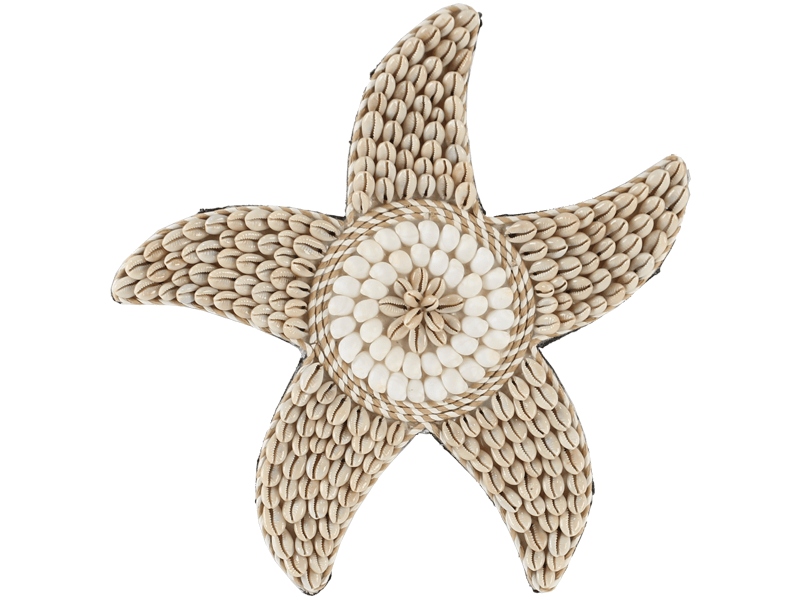 Hanger schelpen zeester 32cm