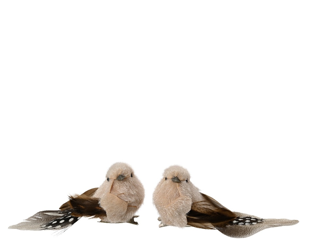 Vogeltje Creme Bruin naturel op clip SET 2 stuks