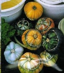 Aladdin pompoenzaden basiseenheid