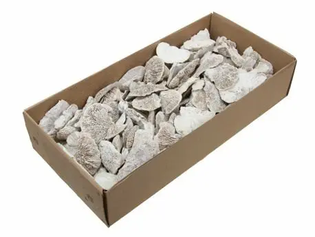 Elfenbankje mini Sponge Mushroom White wash 460 gram