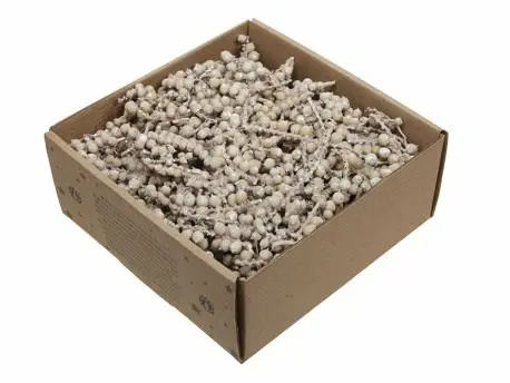 Canella 2" cut stukjes takjes White wash ca. 5 cm 300 gram