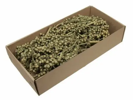 Canella Green wash doosje 20 stuks