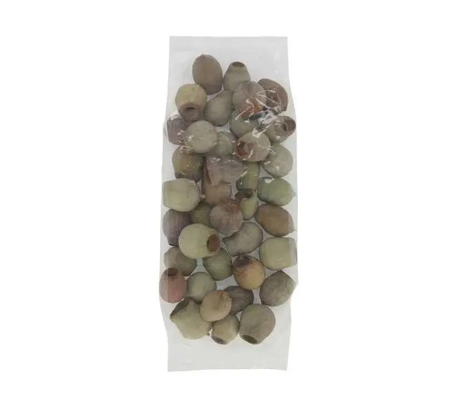 Eucalyptus Bells Zaaddozen Los 250 gram