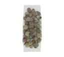 Eucalyptus Bells Zaaddozen Los 250 gram