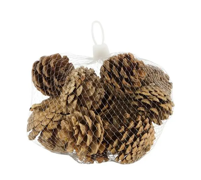 Dennenappels Pinecone 13x3x9cm nature 200gr