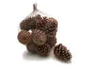 Dennenappels Maritima Grote dennenappel Naturel 12cm 12 stuks 