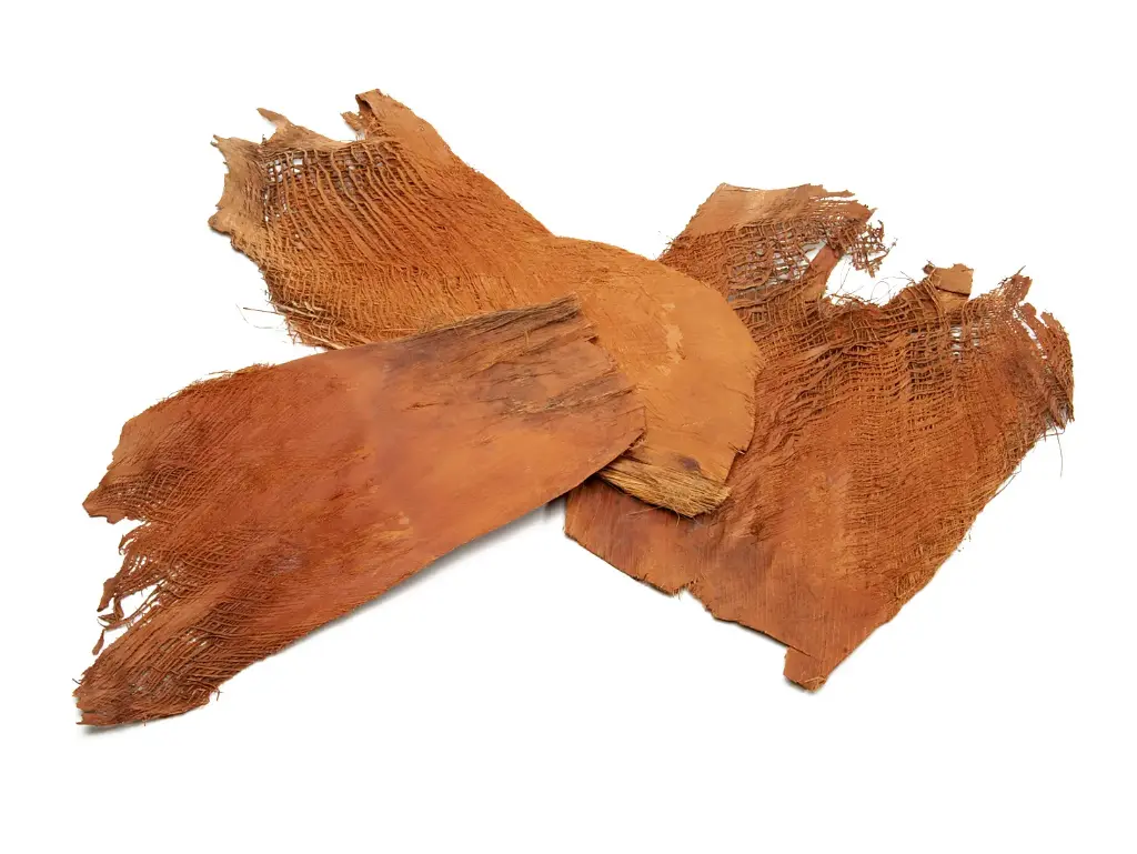 Palmblad Bakla Kokosblad Bruin pak 150 gram 