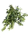 Ilex blad groen zonder bes Bundel