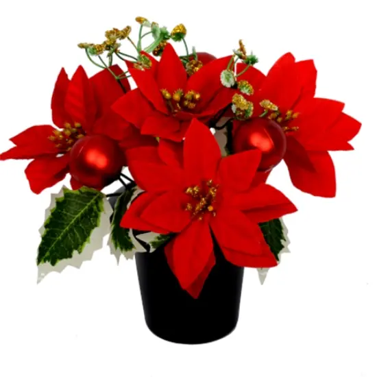 Kerstster Kerstroos Zijden Poinsettia met Hedera klimop en Ballen Rood goud in pot