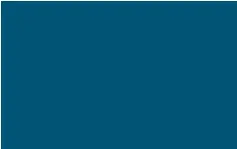 Flower Decor Verfspray Waterbasis voor Verse bloemen Styropor en Graffiti Blue Green Dark Indigo Blue 400ml