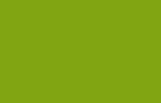Flower Decor Verfspray Waterbasis voor Verse bloemen Styropor en Graffiti Brillant Light Green Guacamole Green 400ml 