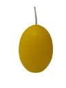 Eikaars Eierkaarsen Geel 65x45 mm per stuk   
