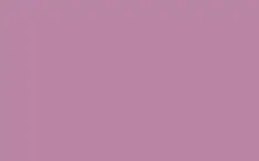 Flower Decor Verfspray Waterbasis voor Verse bloemen Styropor en Graffiti Witch Violet 400ml