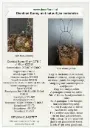 Dienblad Bunny met natuurlijke materialen Stel zelf je pakket samen 