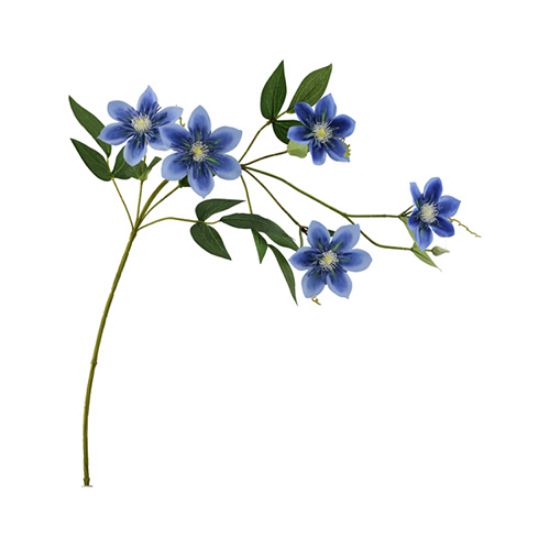 Clematis Dubbel Blauw Zijdenbloem 78 cm per stuk