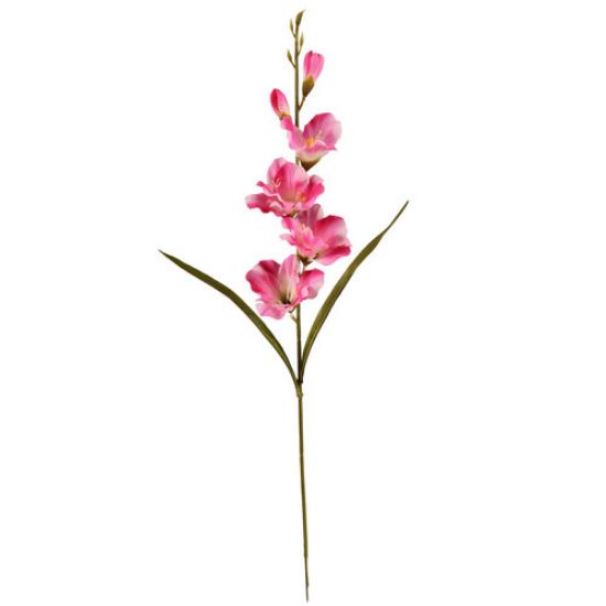 Gladiool Roze Zijdenbloem 60 cm per stuk