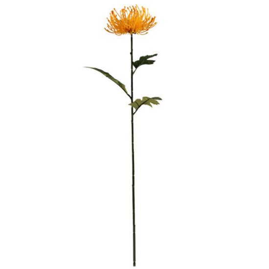 Protea Geel Zijdenbloem 75 cm per stuk