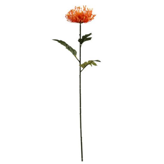 Protea Oranje Zijdenbloem 75 cm per stuk