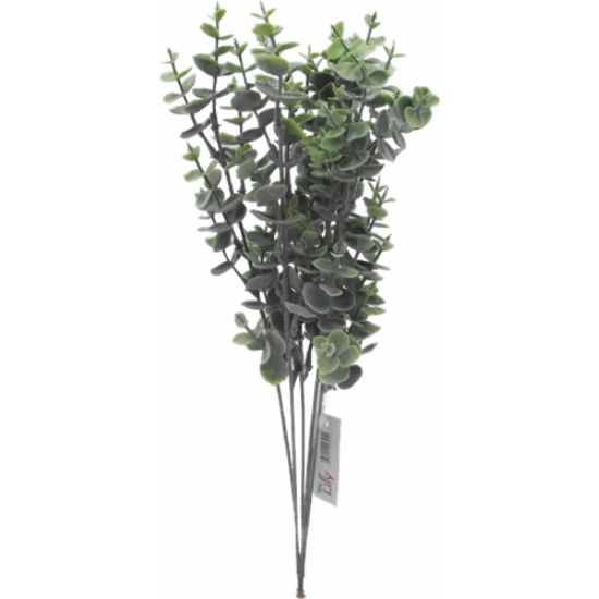 Eucalyptus tak Groen 39 cm bundel 6 stuks
