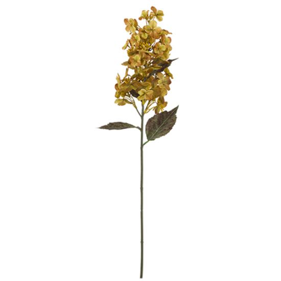 Pluim Hortensia Mosterd Zijdenbloem 72 cm per stuk