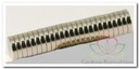 Corsagemagneet 250 sets ( 500 magneten) 2 mm 