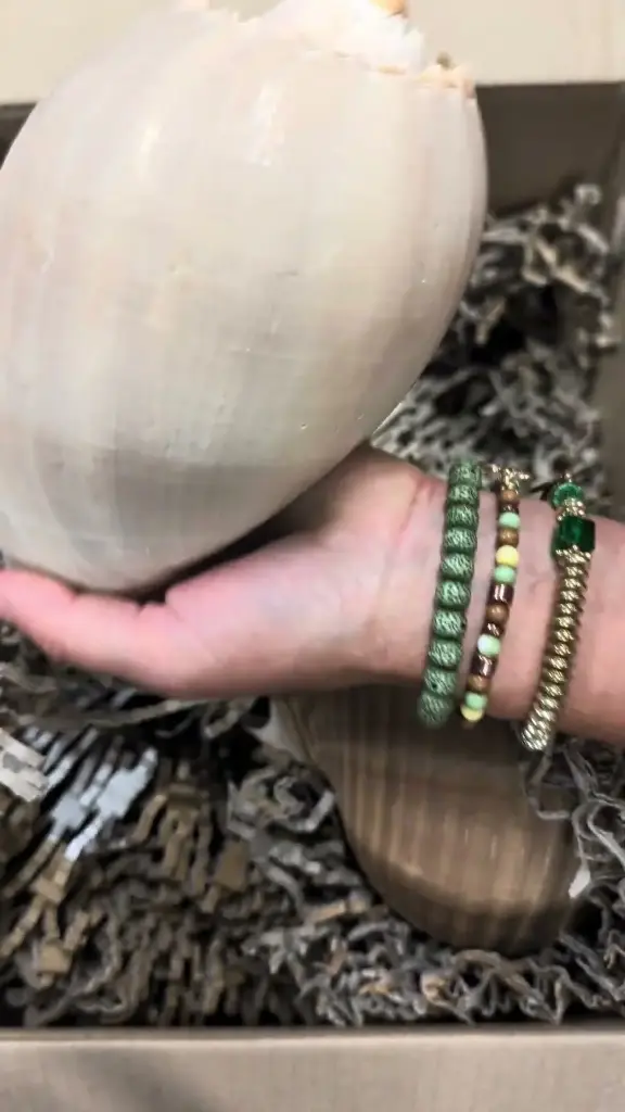 Restantenbox 5 Reuze Schelpen Bekijk video voor inhoud