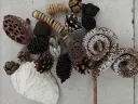 Gemengde gedroogde materialen Naturel en white +/- 20 stuks