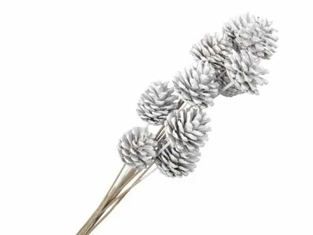 Dennenappels op stick bijsteker White 50 cm 10 stuks 